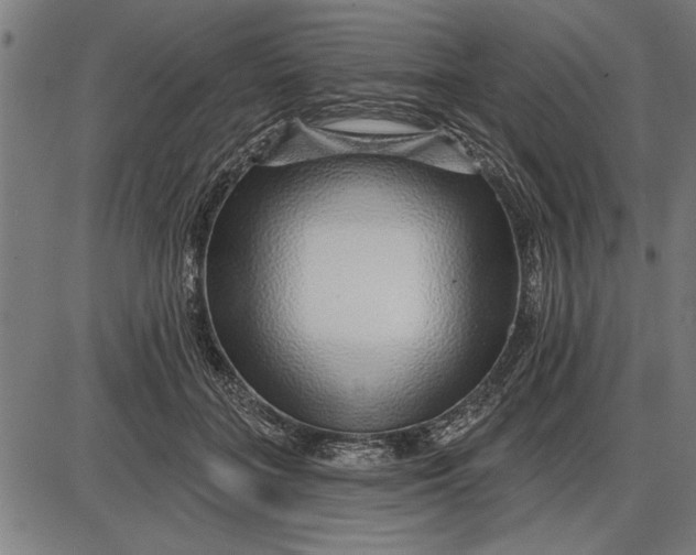 X0000086100555200704091355