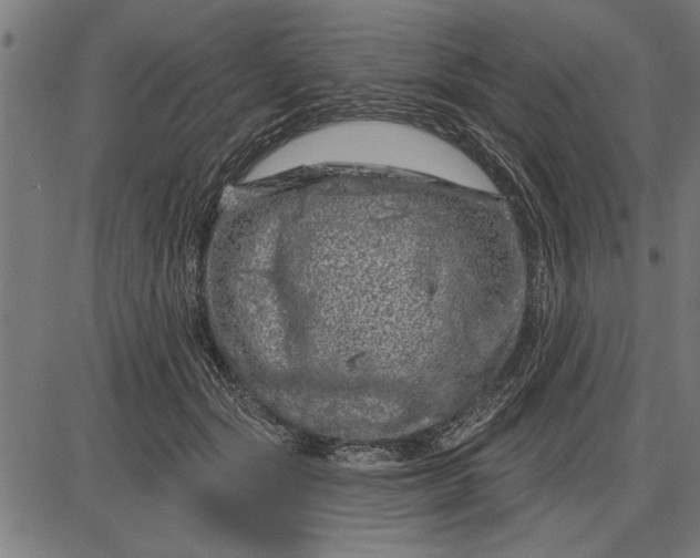 X0000086100557200704091355