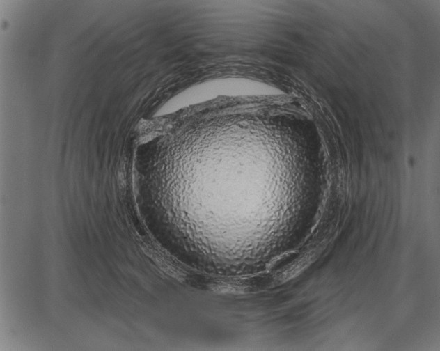 X0000086100561200704091355