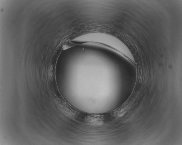 X0000086100563200704091355