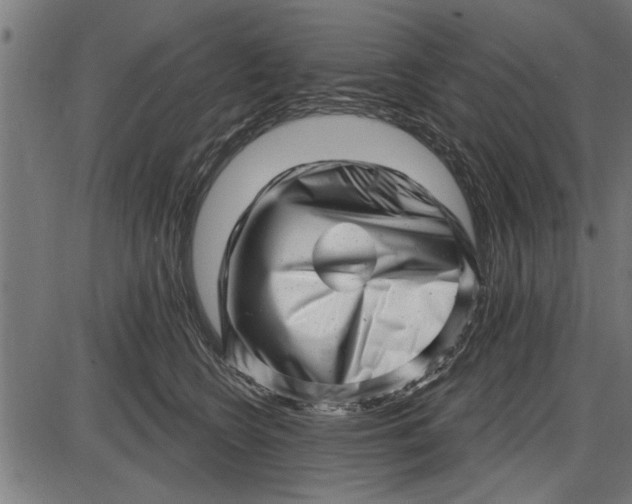 X0000086100566200704091355