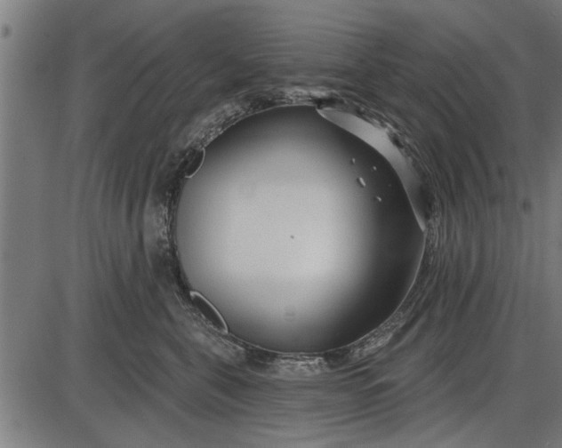 X0000086100571200704091355