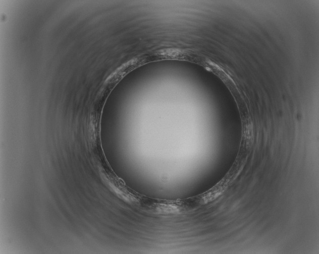 X0000086100572200704091355