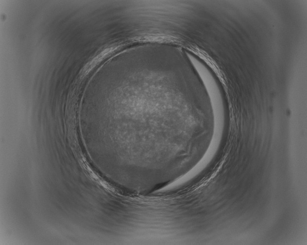 X0000086100577200704091355