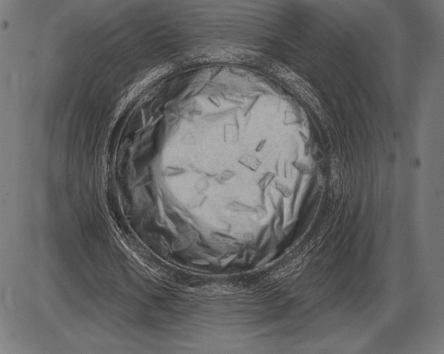X0000086100578200704091354