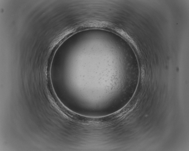 X0000086100581200704091354
