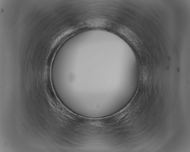 X0000086100583200704091354