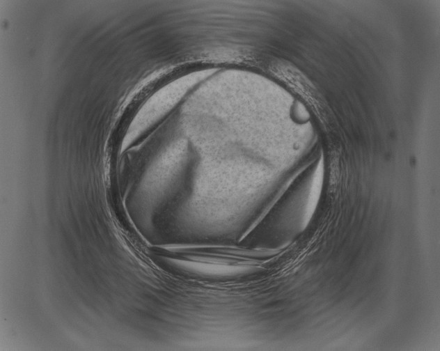 X0000086100584200704091354