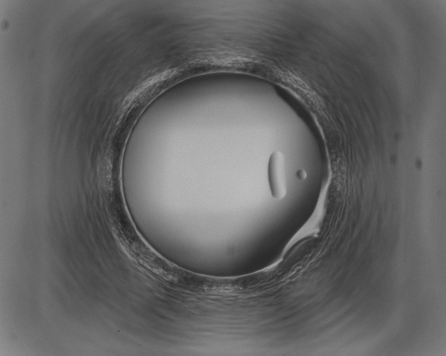 X0000086100587200704091354