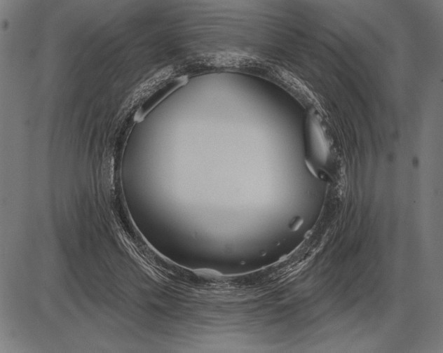 X0000086100589200704091354
