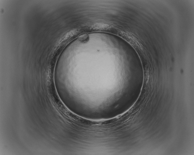 X0000086100591200704091354