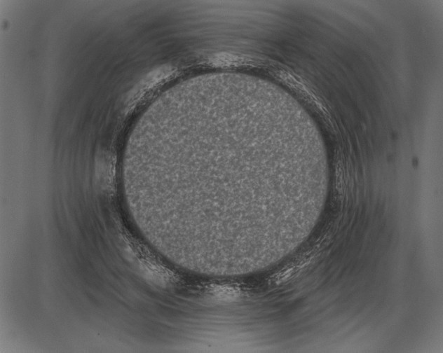 X0000086100592200704091354