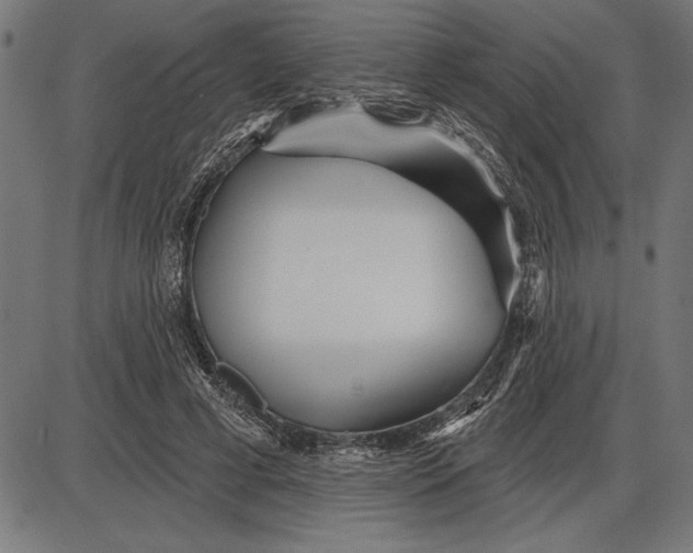 X0000086100593200704091354
