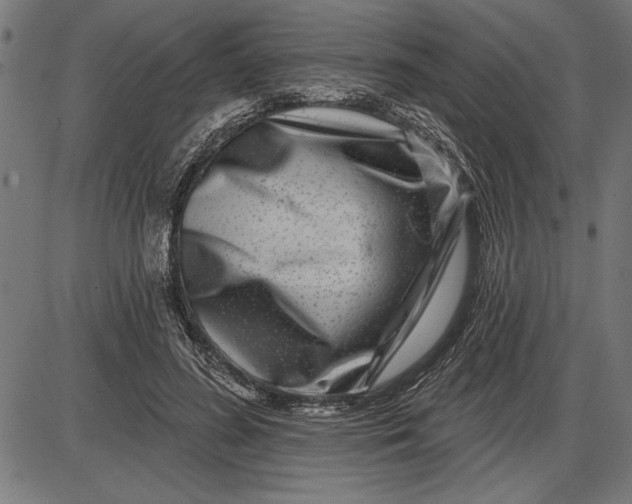 X0000086100596200704091354