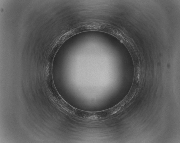 X0000086100600200704091354