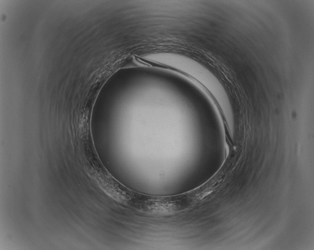 X0000086100601200704091354