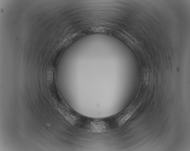 X0000086100603200704091354