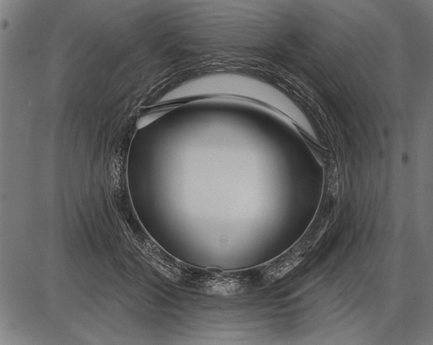 X0000086100604200704091354