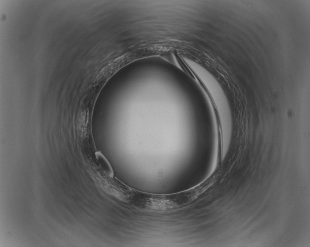 X0000086100605200704091354