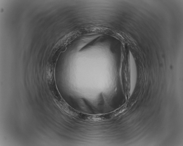 X0000086100607200704091354