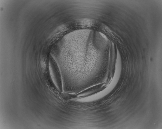 X0000086100608200704091354
