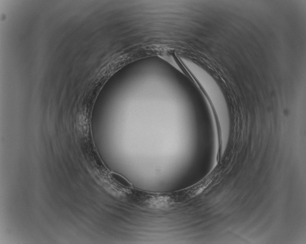 X0000086100609200704091354