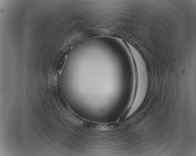 X0000086100613200704091354