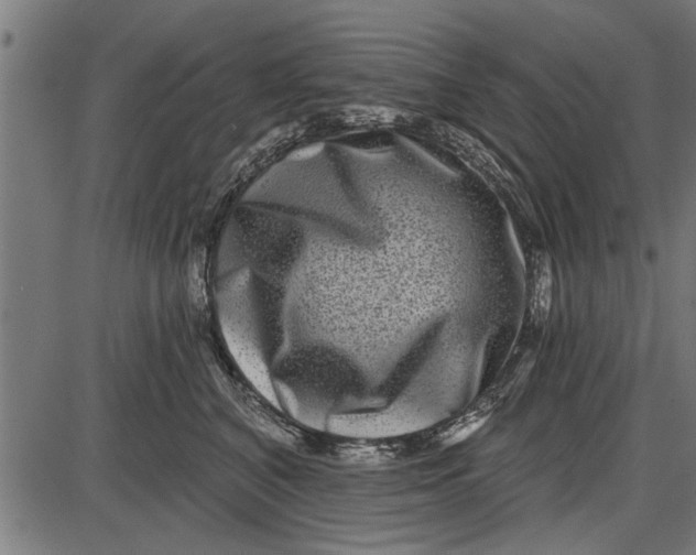 X0000086100616200704091354