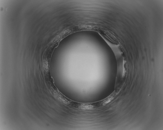 X0000086100617200704091354