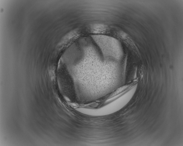 X0000086100620200704091354