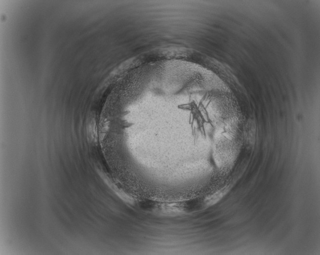 X0000086100622200704091354