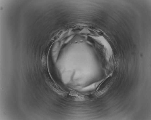 X0000086100623200704091354