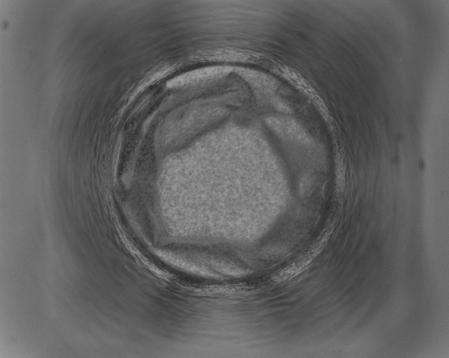 X0000086100625200704091353