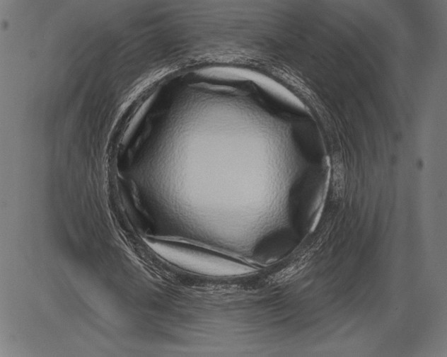 X0000086100626200704091353