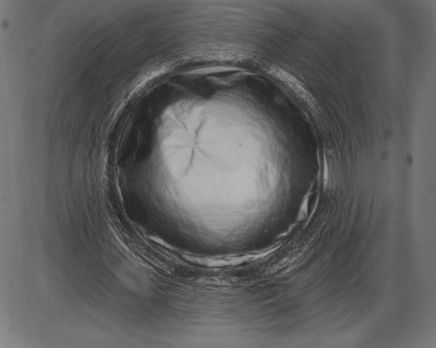 X0000086100627200704091353