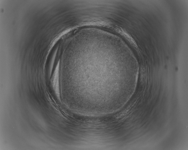 X0000086100628200704091353