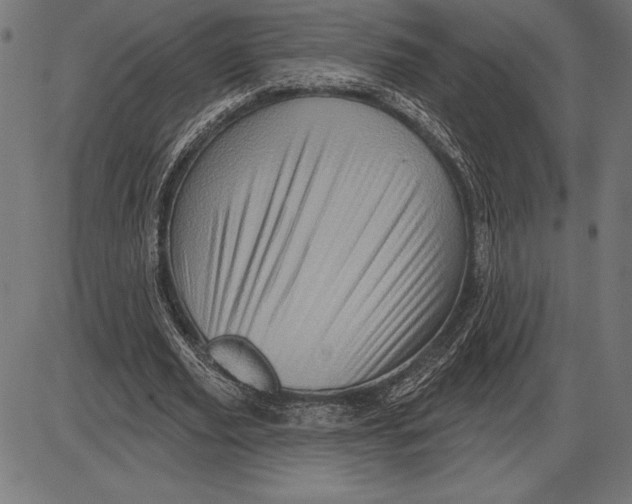 X0000086100629200704091353