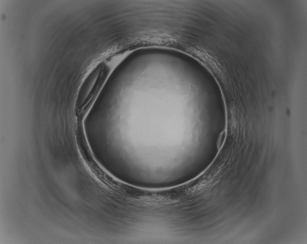 X0000086100630200704091353