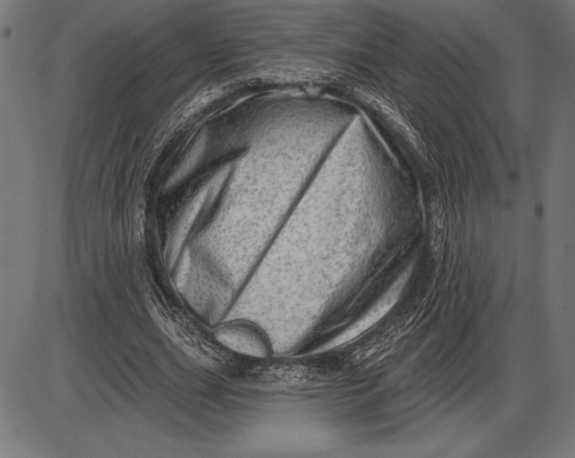 X0000086100631200704091353
