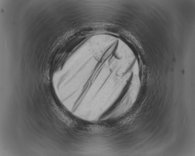 X0000086100633200704091353