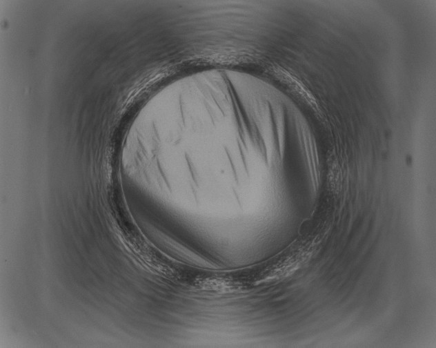 X0000086100635200704091353