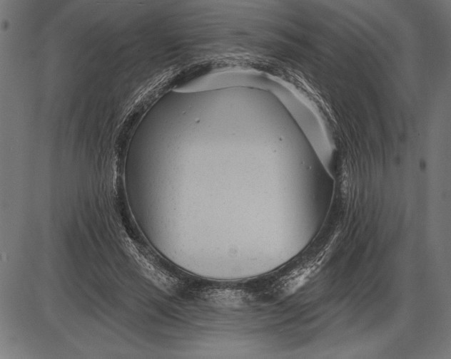 X0000086100637200704091353