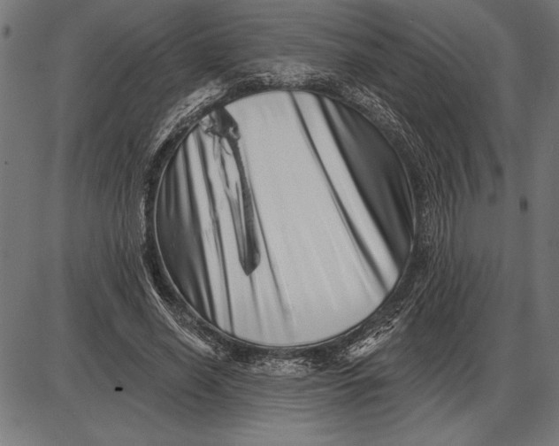 X0000086100638200704091353