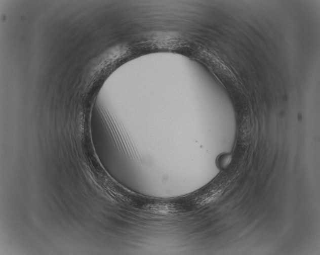 X0000086100639200704091353