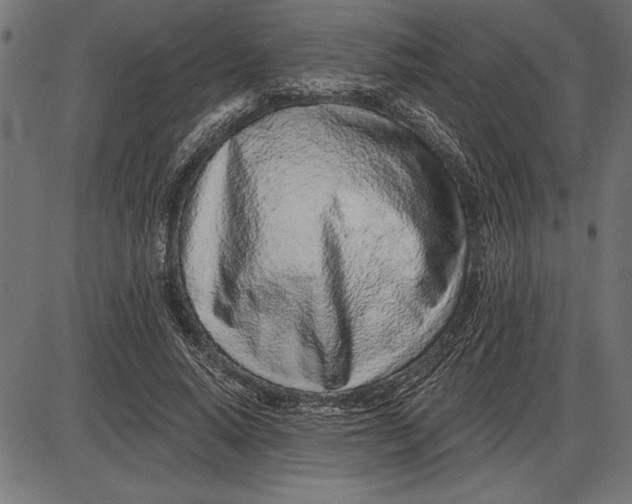 X0000086100640200704091353