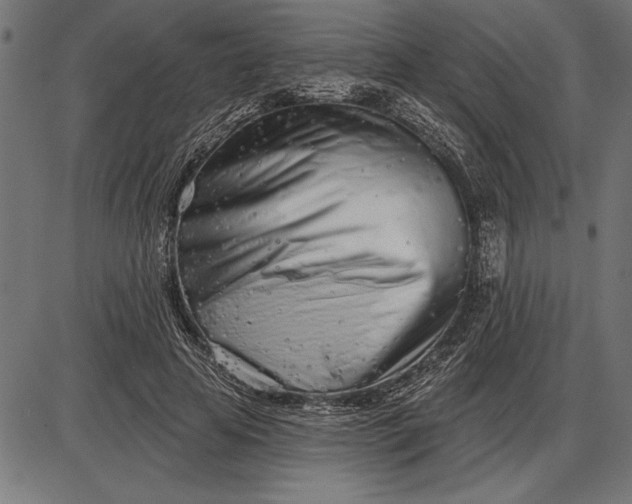 X0000086100641200704091353