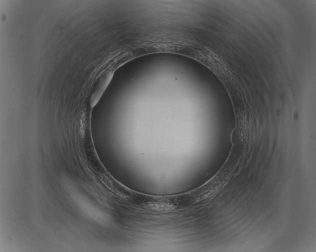 X0000086100644200704091353
