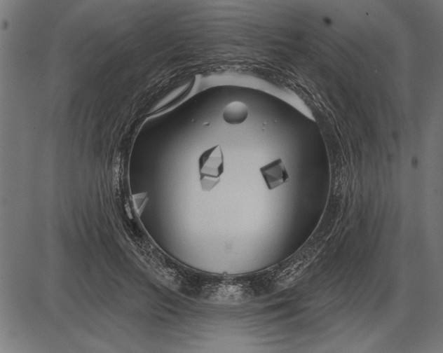 X0000086100647200704091353