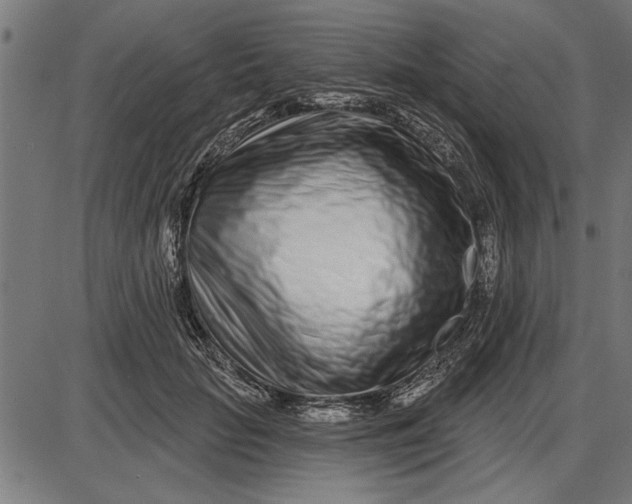 X0000086100653200704091353