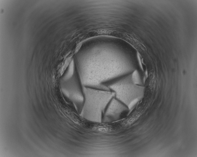X0000086100655200704091353